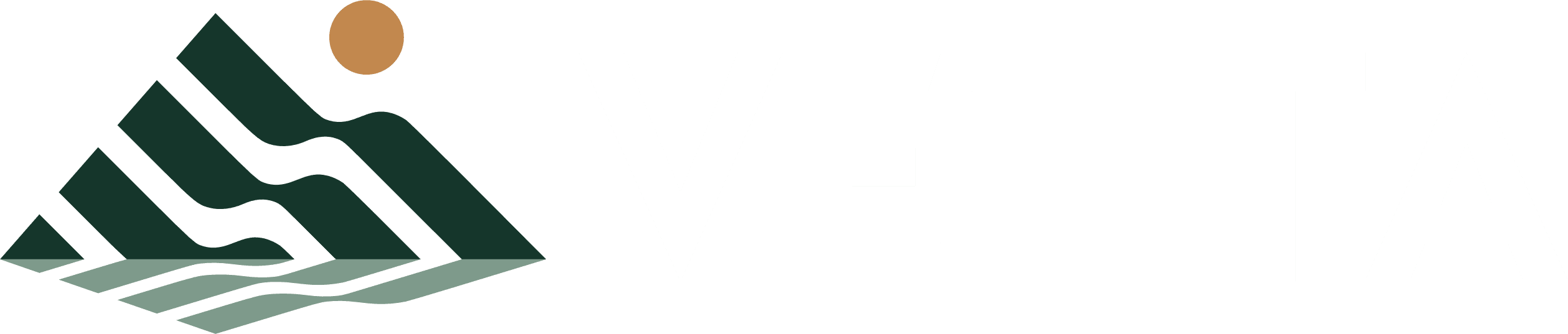 VETTA